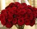 گل فوری و فروش عمده گل رز